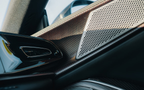 Close-up of a car interior door with a perforated speaker grille and glossy black trim