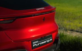 Rear view of a red sports car parked on grass, featuring a small Ferrari emblem on the back and a black spoiler area.
