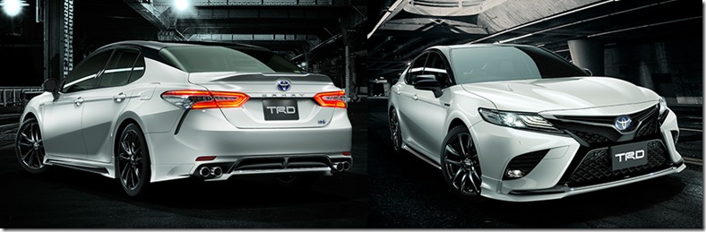 camry_styling-ws